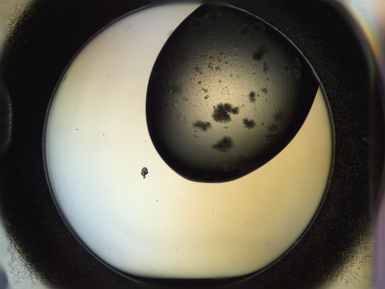 054b_D8_ImagerDefaults_6.jpg