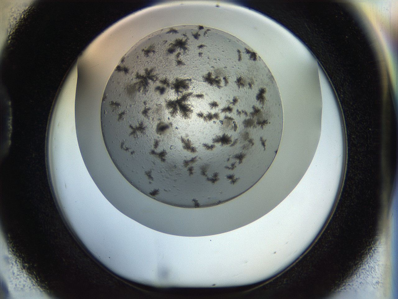 054b_D9_ImagerDefaults_6.jpg