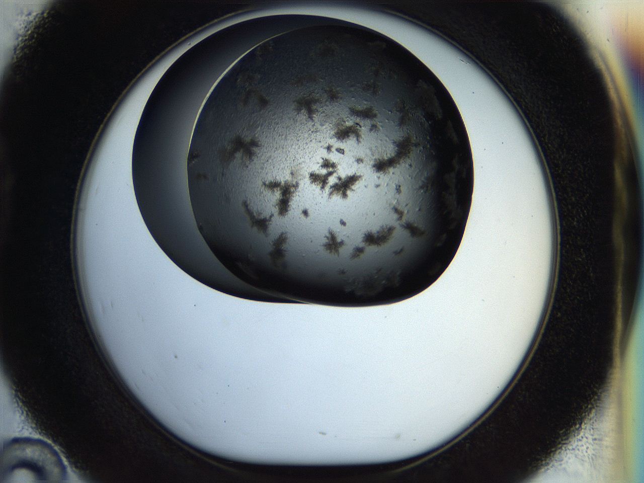 054b_D10_ImagerDefaults_6.jpg