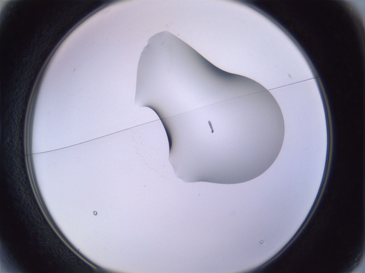 folderID280_plateID1280_batchID4145_wellNum13_profileID1_d1_r75280_ef.jpg
