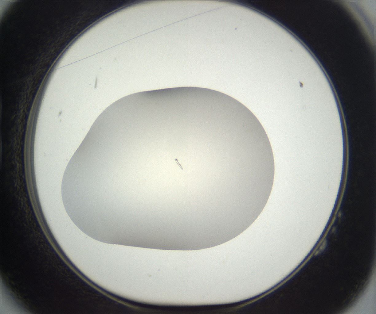 folderID285_plateID3285_batchID19390_wellNum14_profileID1_d1_r289793_ef.jpg