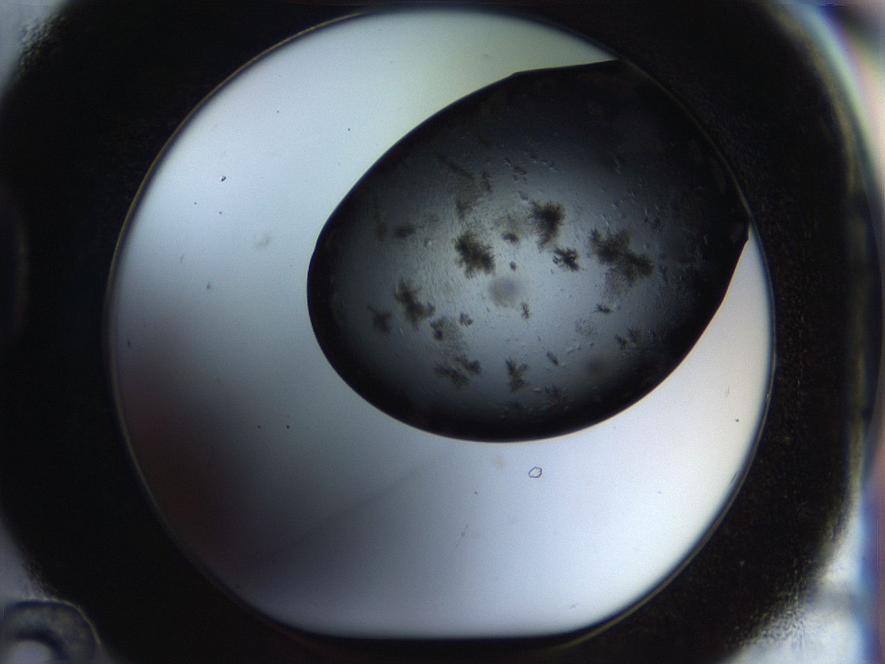 054b_D12_ImagerDefaults_6.jpg