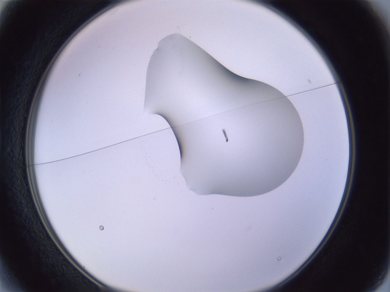 folderID280_plateID1280_batchID4885_wellNum13_profileID1_d1_r75280_ef.jpg