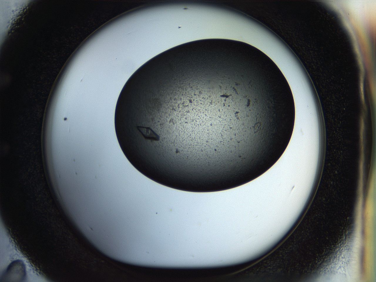 054b_E11_ImagerDefaults_9.jpg