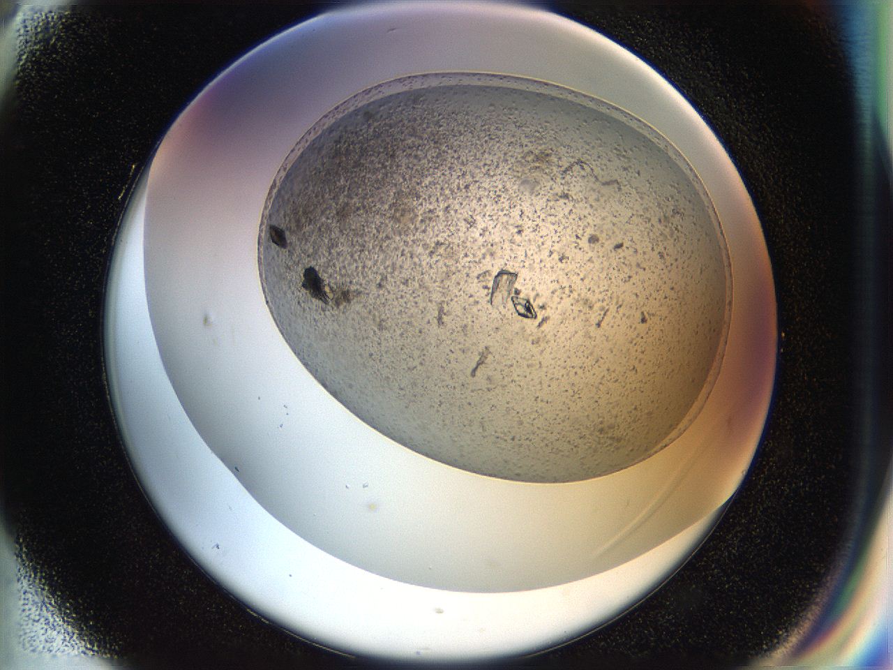 054b_G5_ImagerDefaults_9.jpg