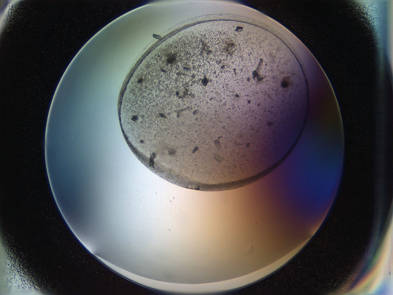 054b_G6_ImagerDefaults_7.jpg
