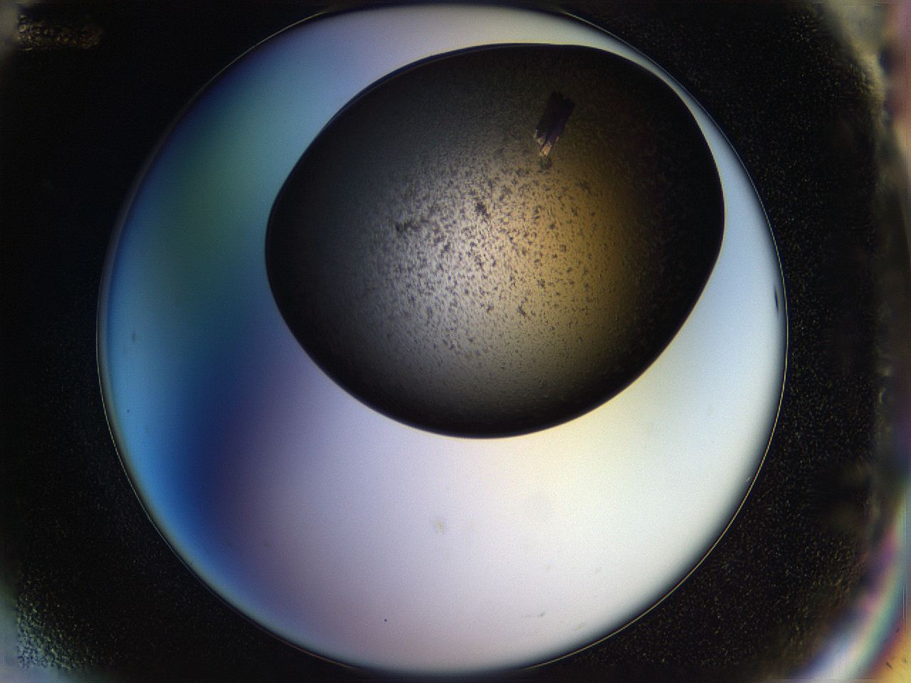 054b_G12_ImagerDefaults_9.jpg