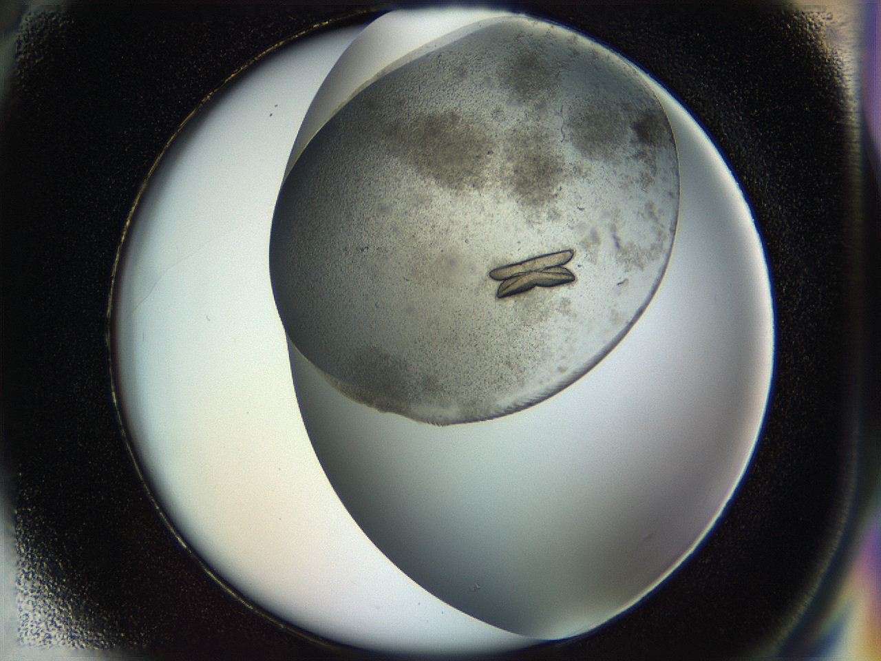 054b_H5_ImagerDefaults_9.jpg
