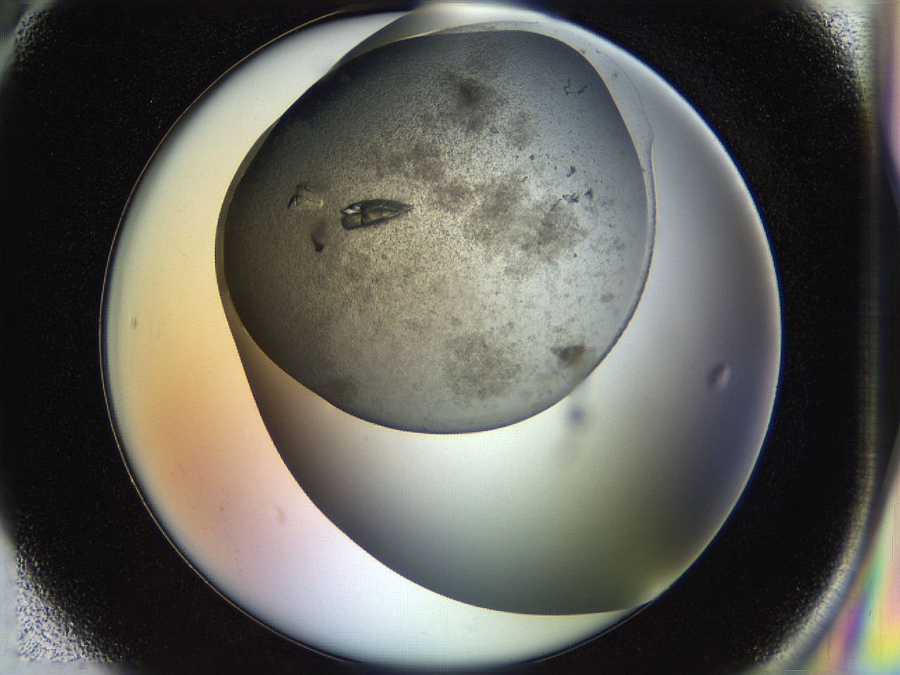 054b_H6_ImagerDefaults_9.jpg