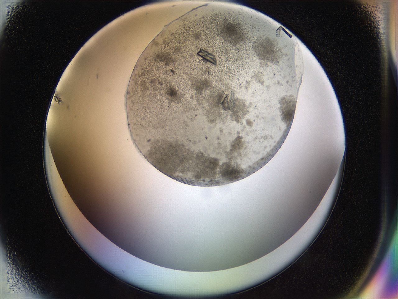 054b_H7_ImagerDefaults_9.jpg