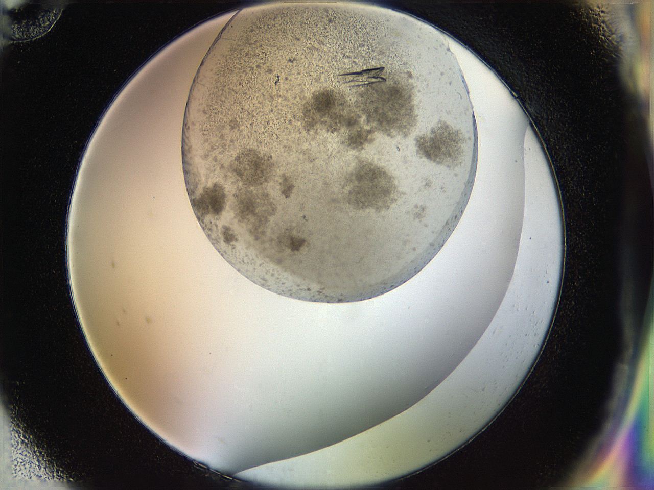 054b_H10_ImagerDefaults_8.jpg