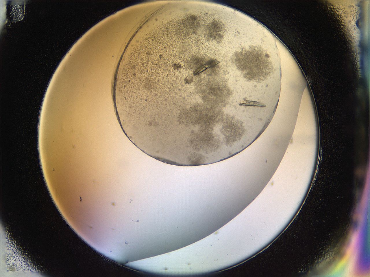054b_H11_ImagerDefaults_8.jpg