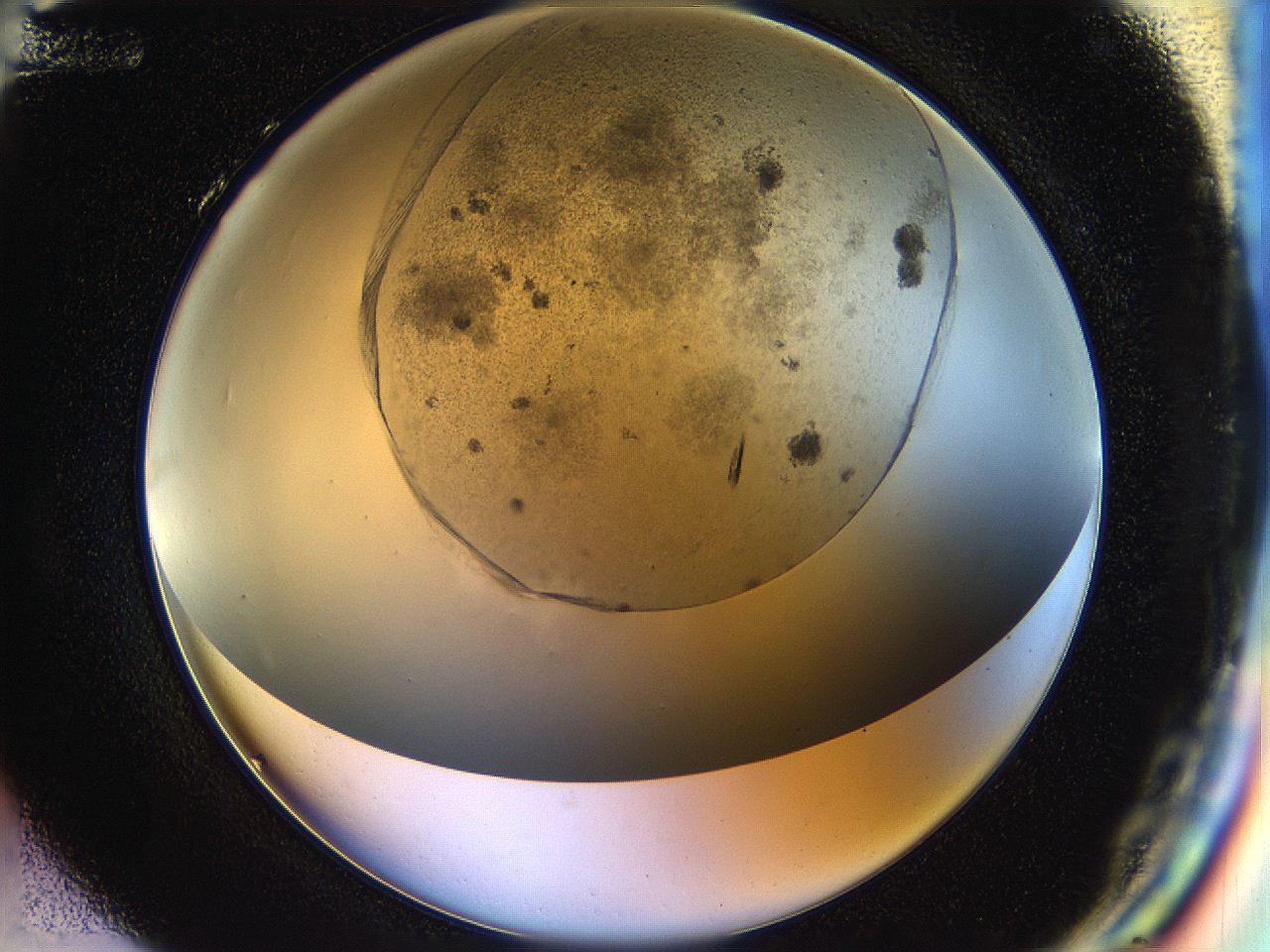 054b_H12_ImagerDefaults_8.jpg