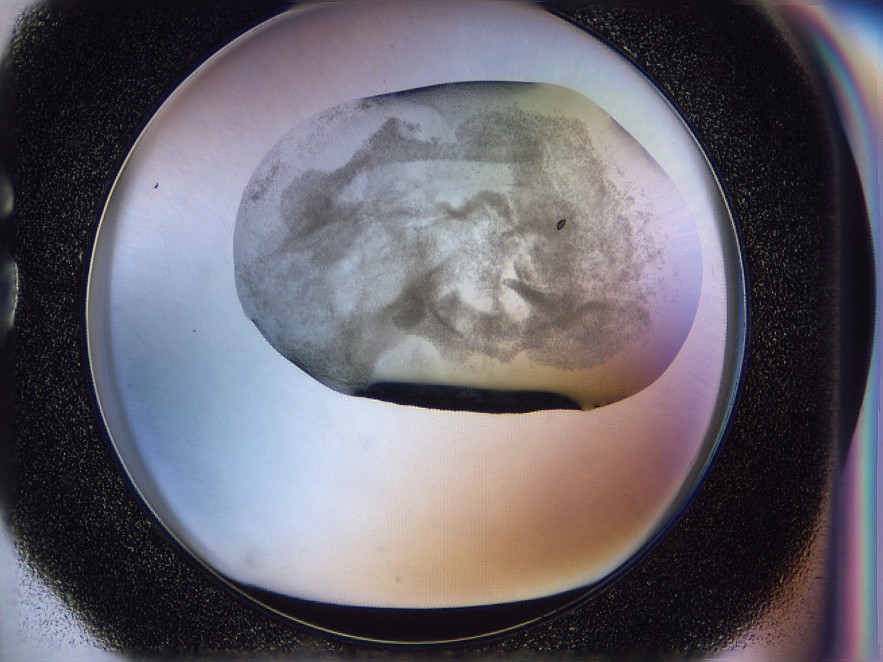 054c_G4_ImagerDefaults_6.jpg