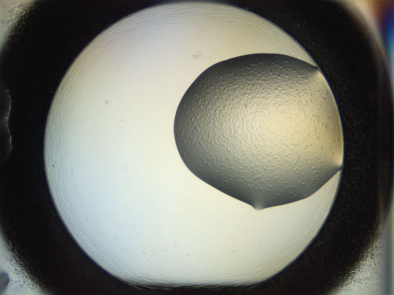 054d_B7_ImagerDefaults_6.jpg