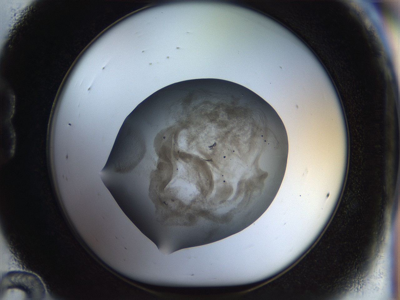 054f_B12_ImagerDefaults_6.jpg
