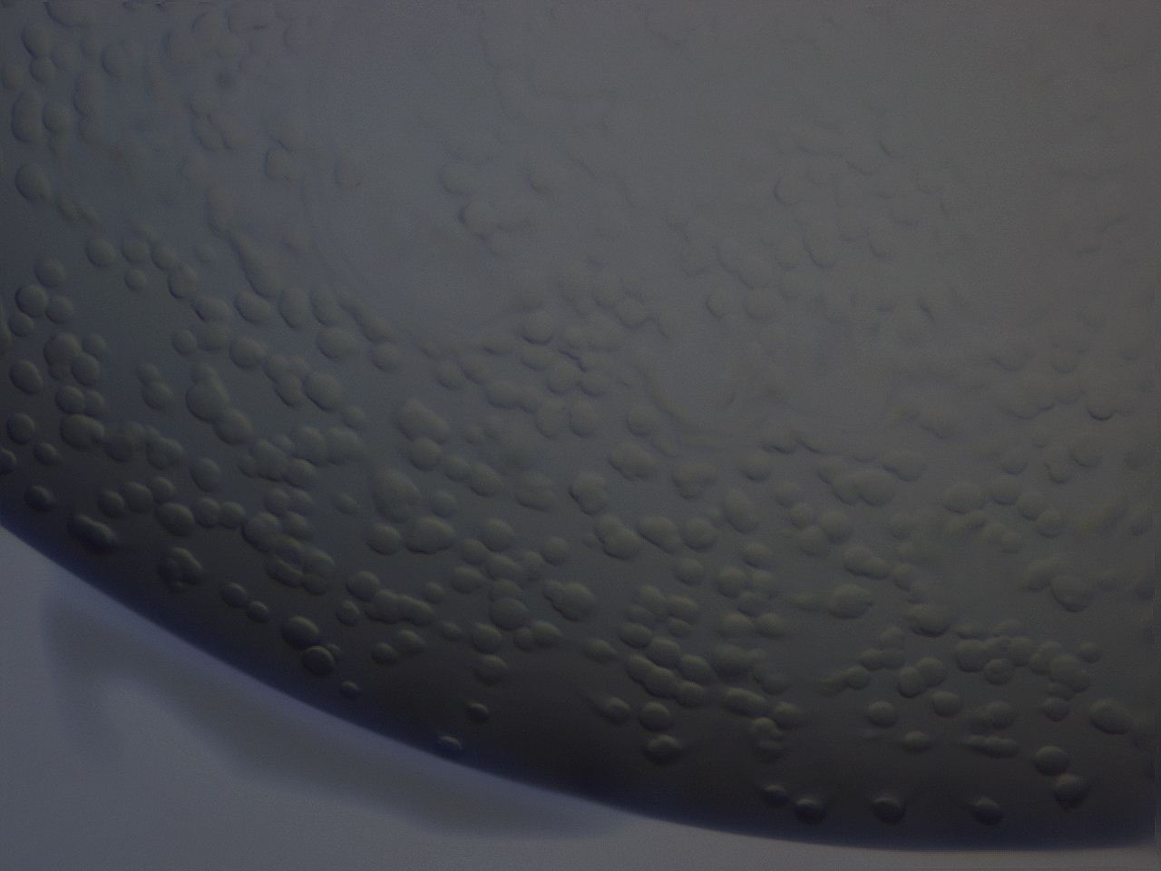 054g_E6_ImagerDefaults_8.jpg