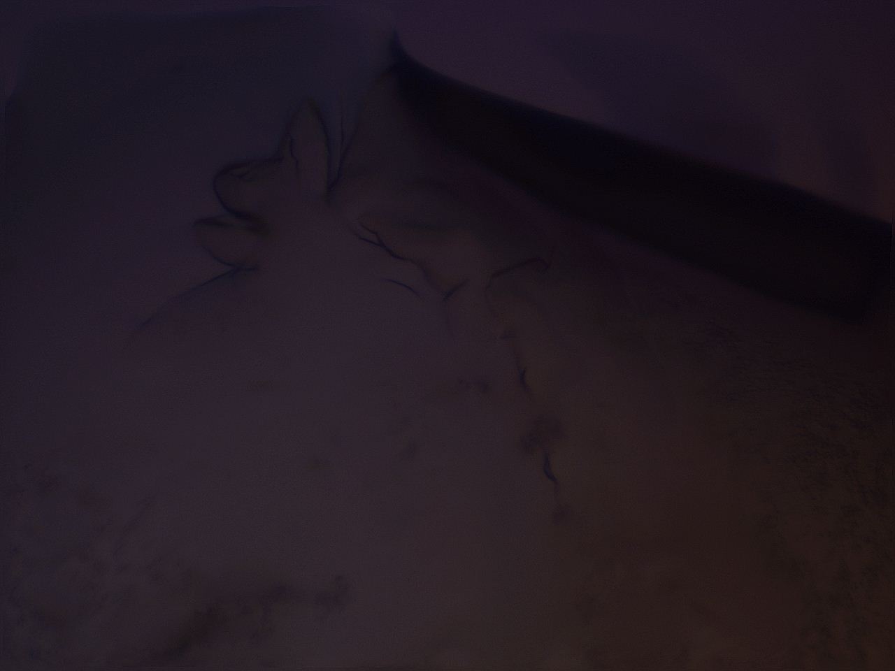054i_H12_ImagerDefaults_8.jpg
