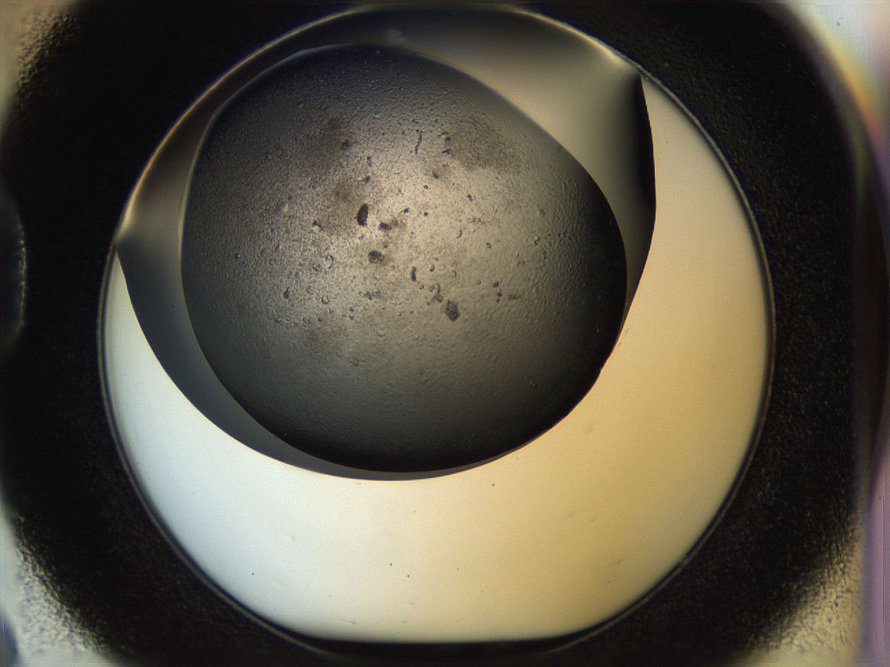 054k_D8_ImagerDefaults_6.jpg