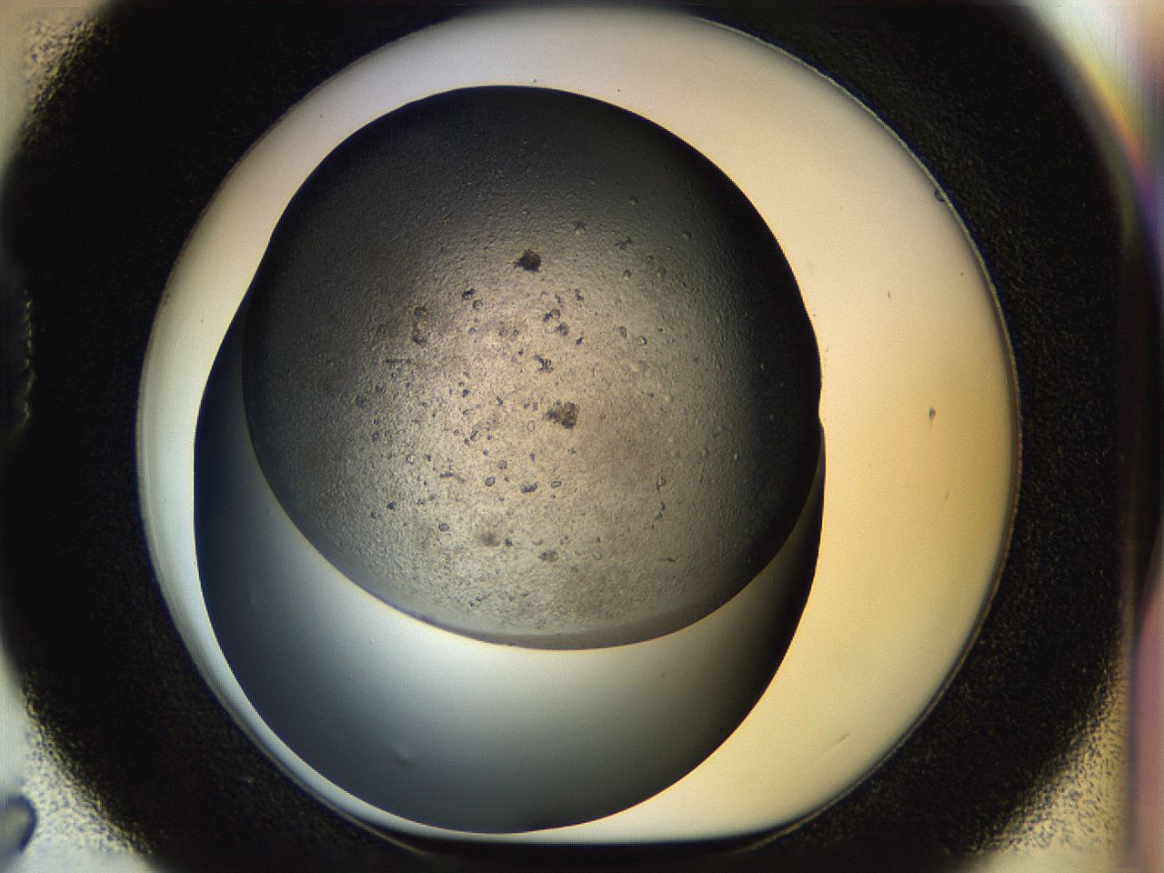 054k_D7_ImagerDefaults_6.jpg
