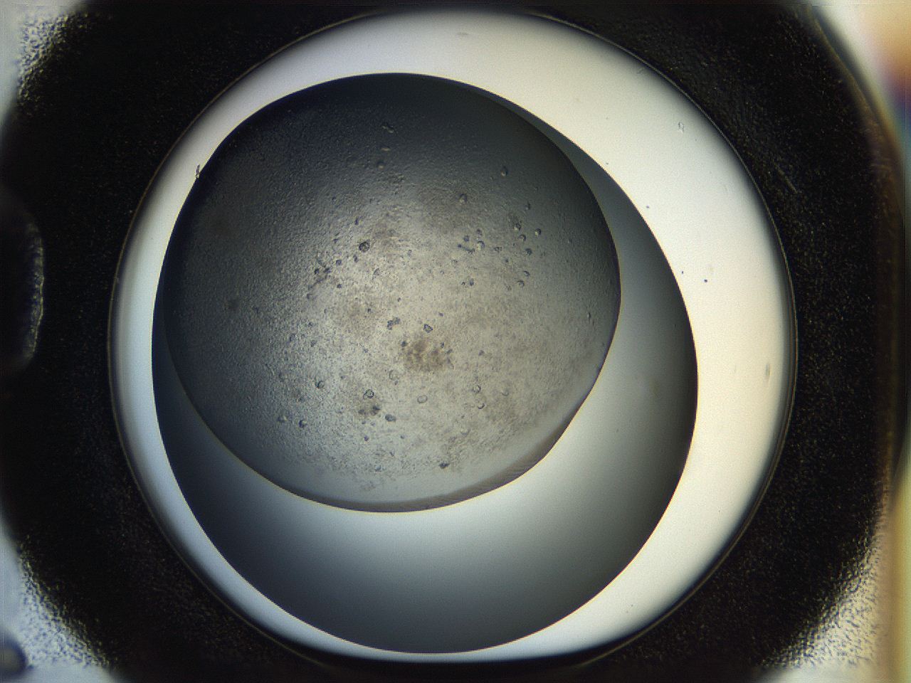 054k_D6_ImagerDefaults_6.jpg