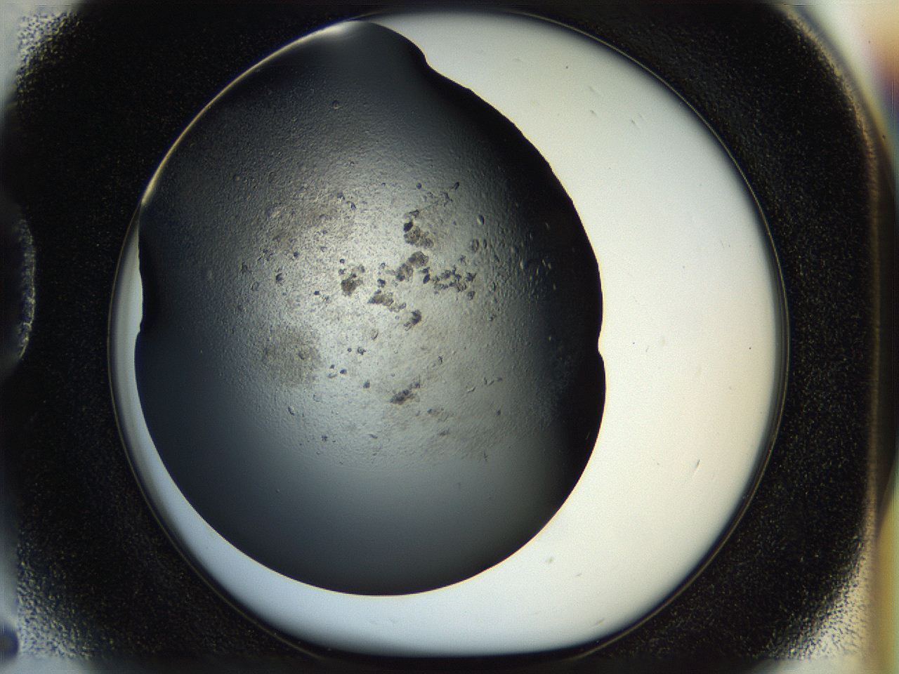054k_D5_ImagerDefaults_6.jpg