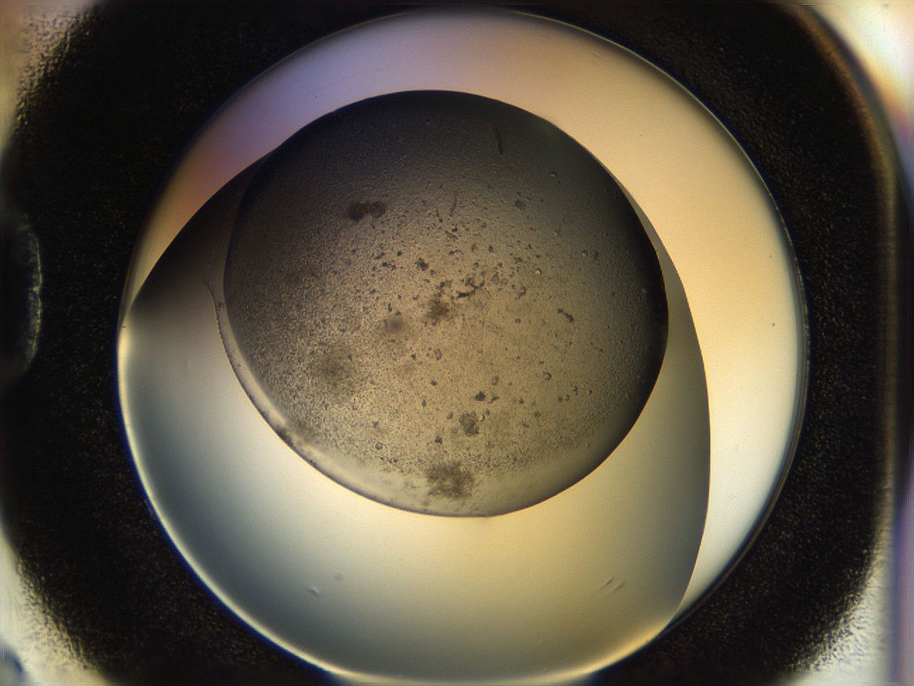054k_D2_ImagerDefaults_6.jpg
