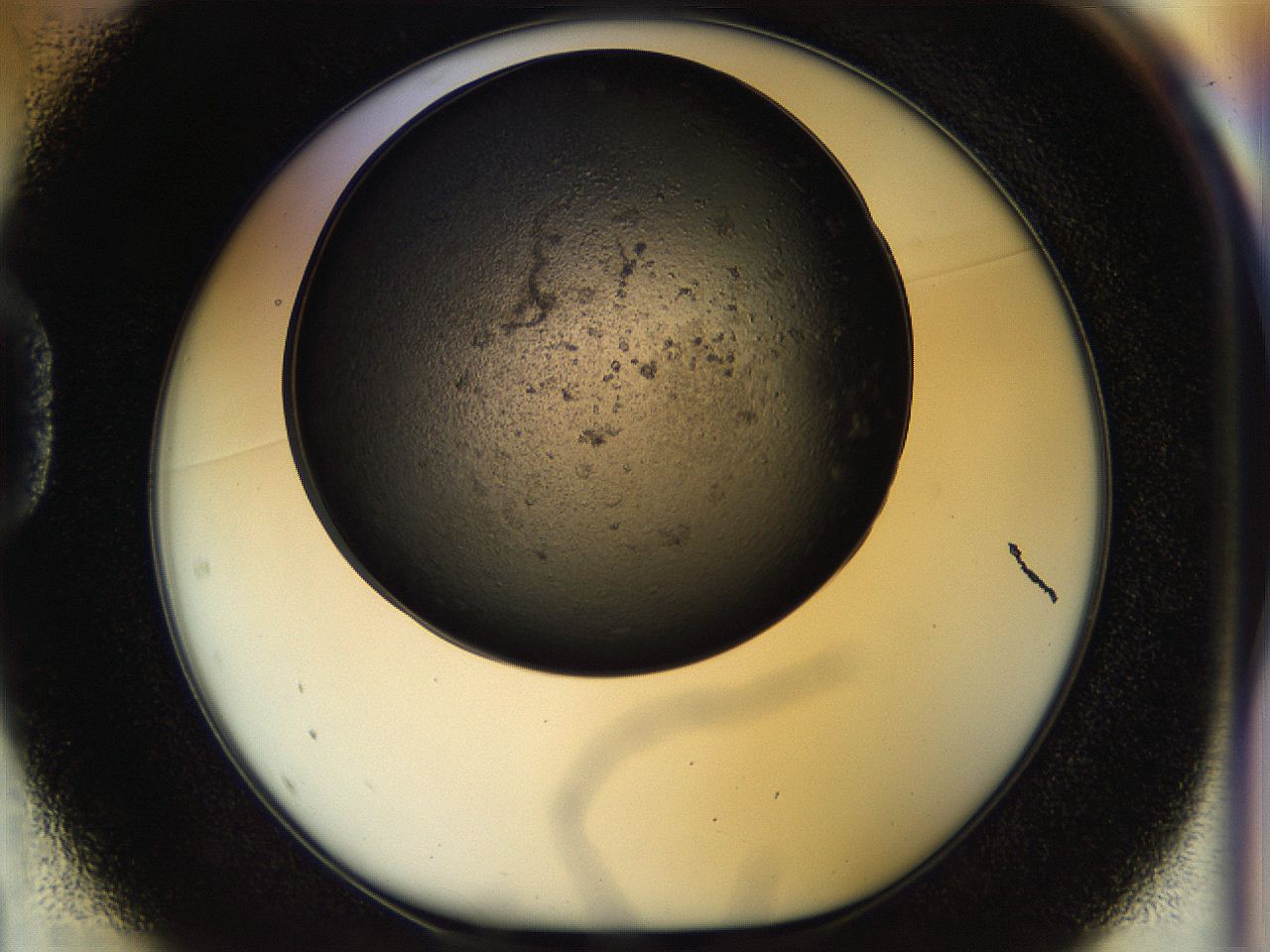054k_D1_ImagerDefaults_6.jpg