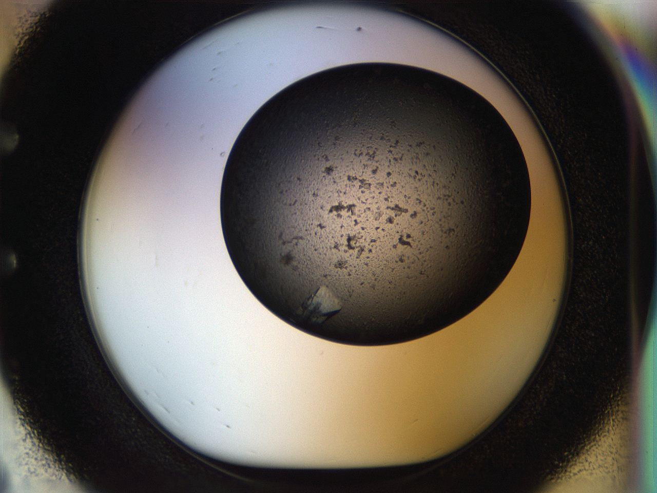 054k_E8_ImagerDefaults_9.jpg