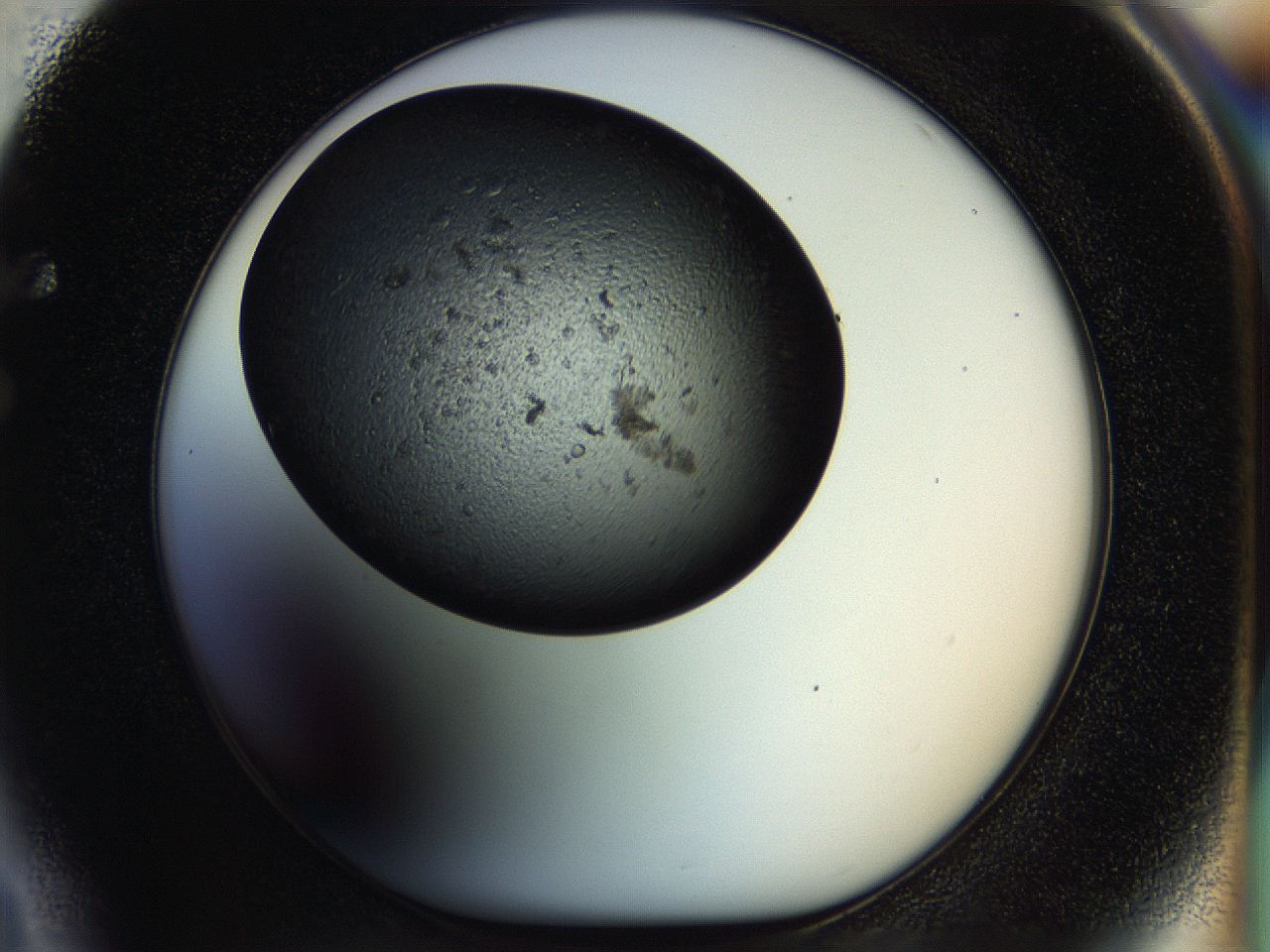 054k_F4_ImagerDefaults_6.jpg