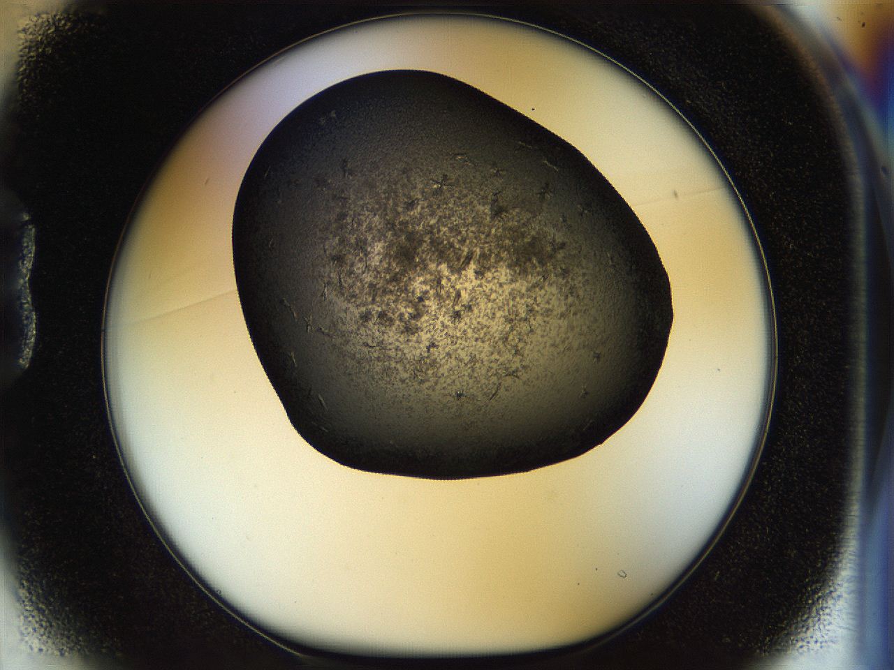 054k_B1_ImagerDefaults_6.jpg