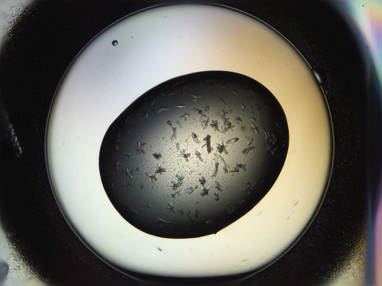 054l_A7_ImagerDefaults_6.jpg