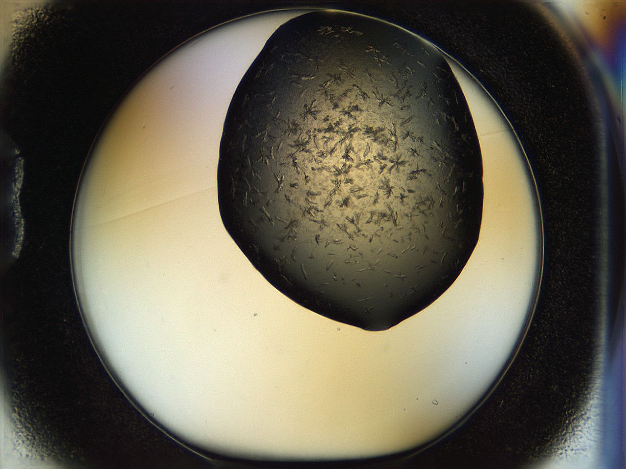 054l_B1_ImagerDefaults_6.jpg