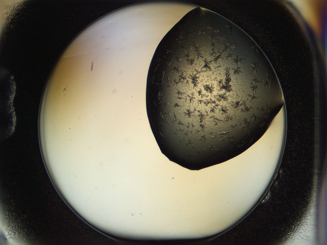054l_B2_ImagerDefaults_6.jpg