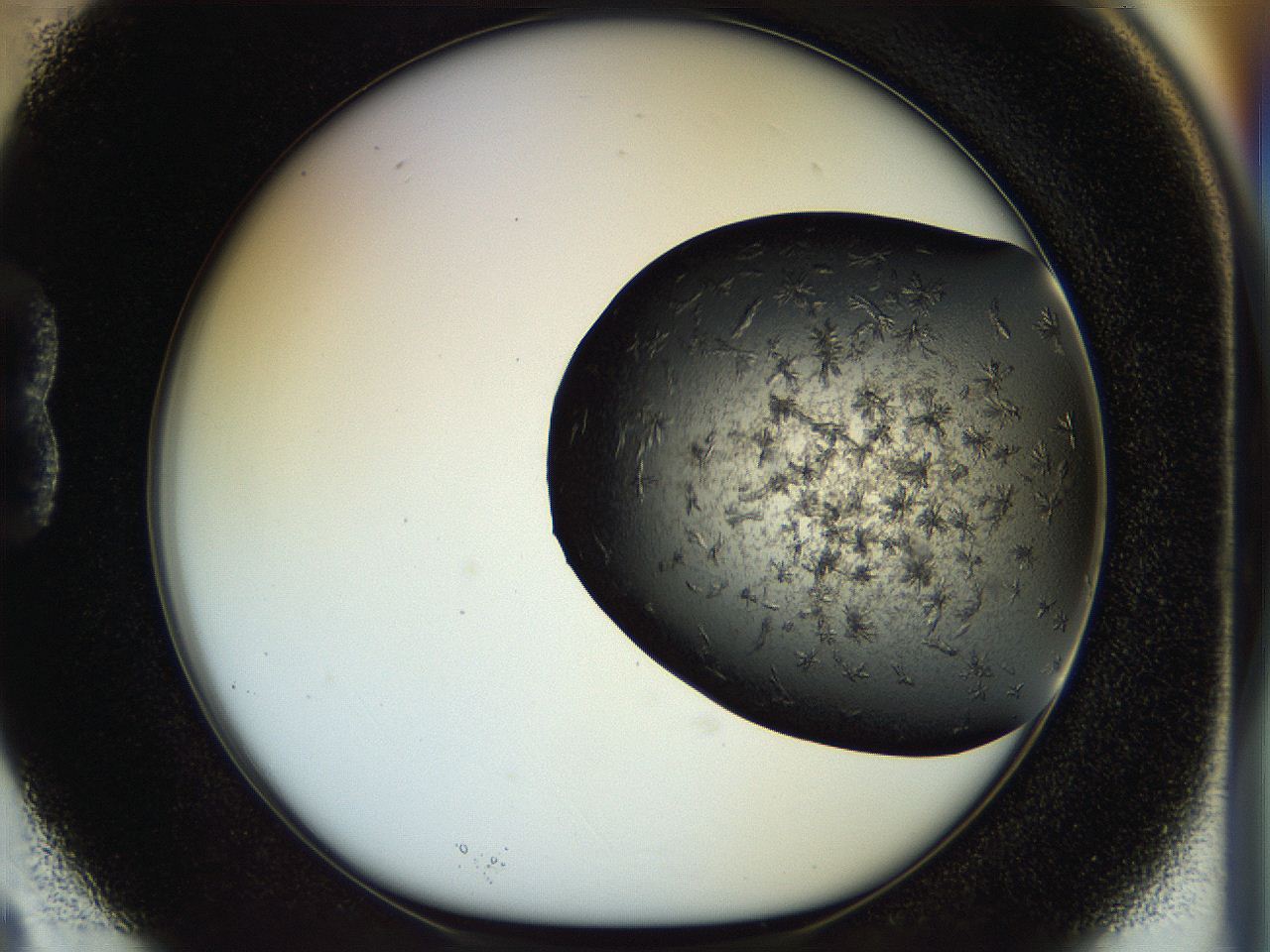 054l_B3_ImagerDefaults_6.jpg