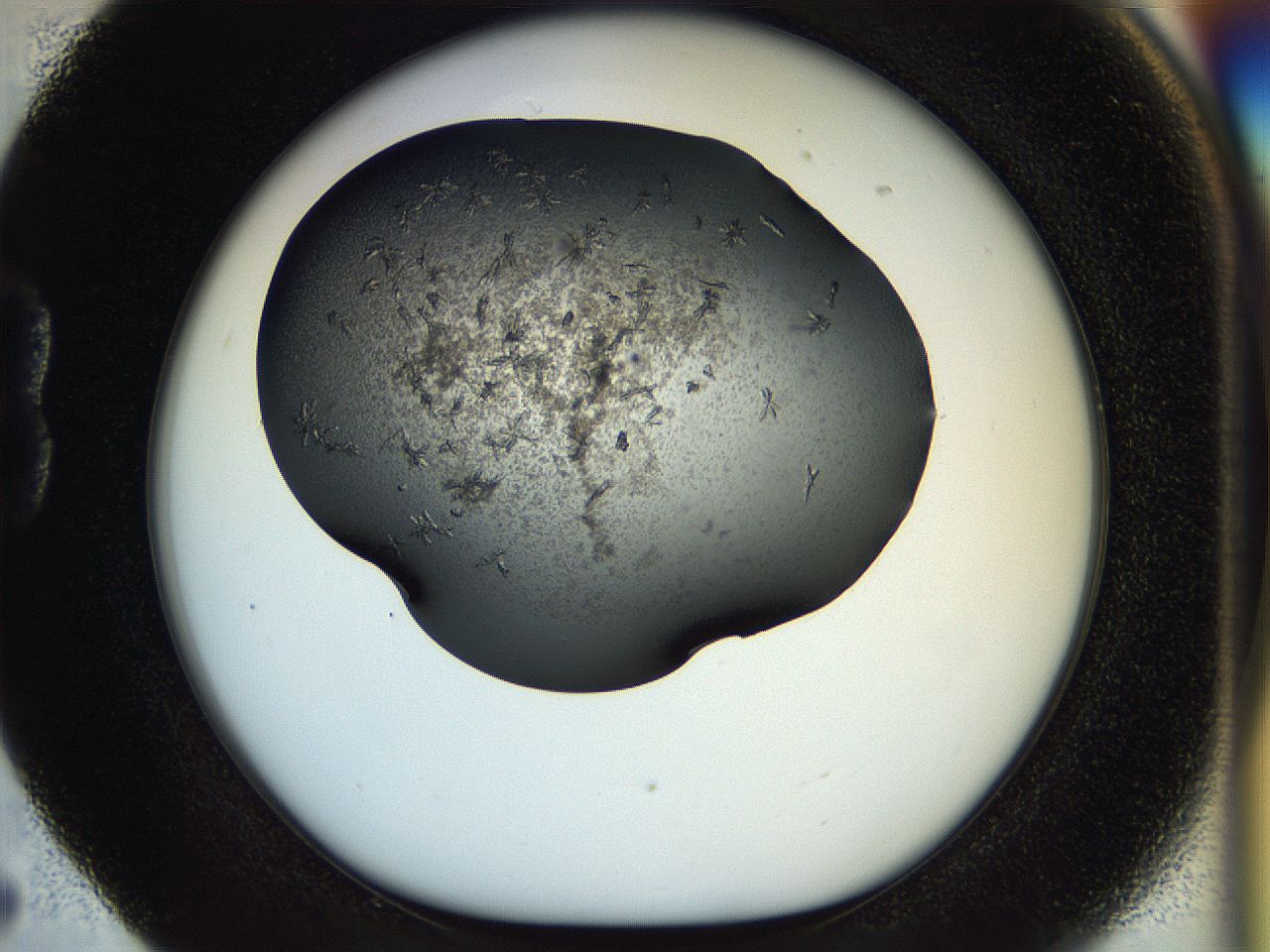054l_B5_ImagerDefaults_6.jpg