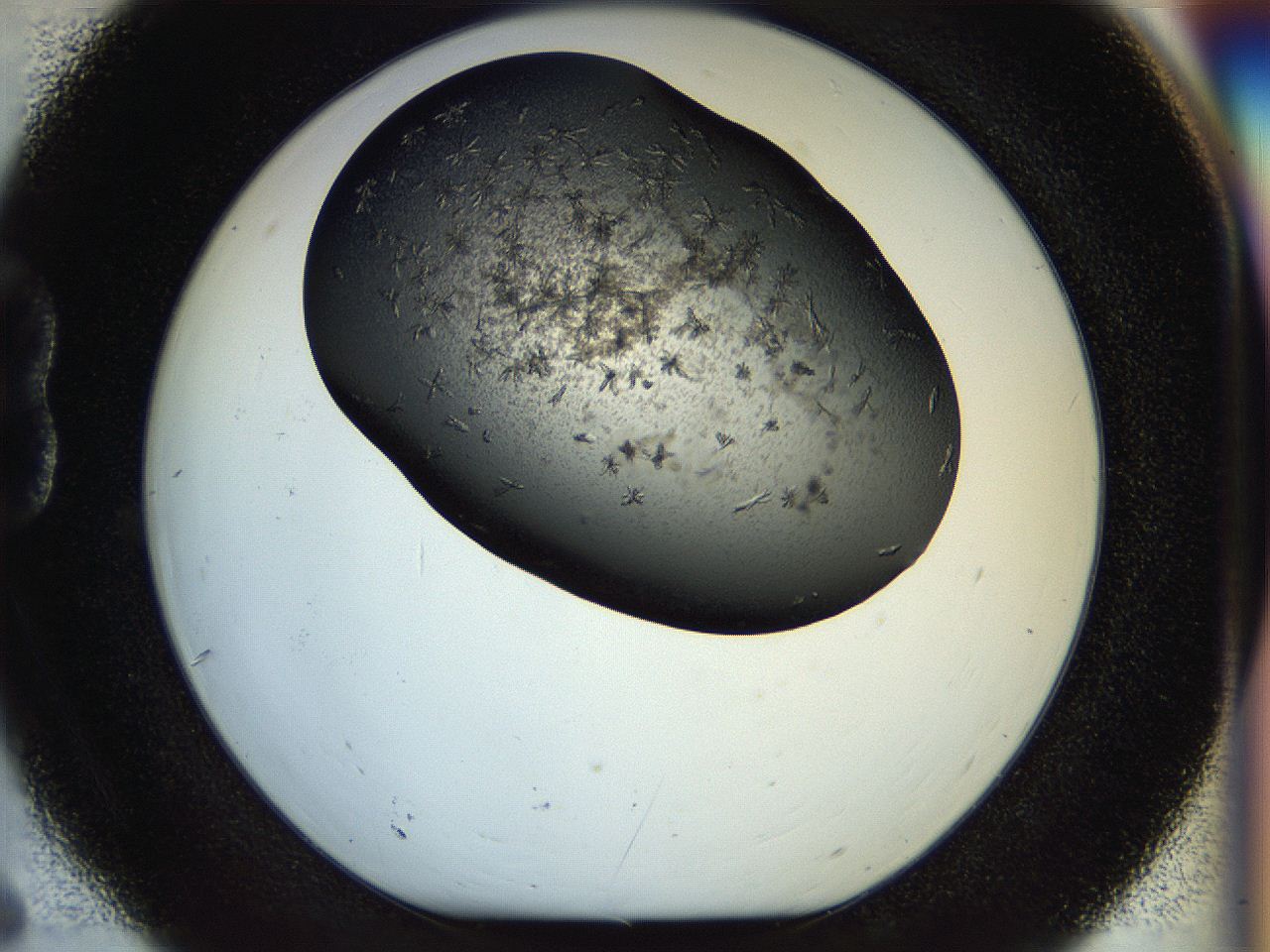 054l_B6_ImagerDefaults_6.jpg