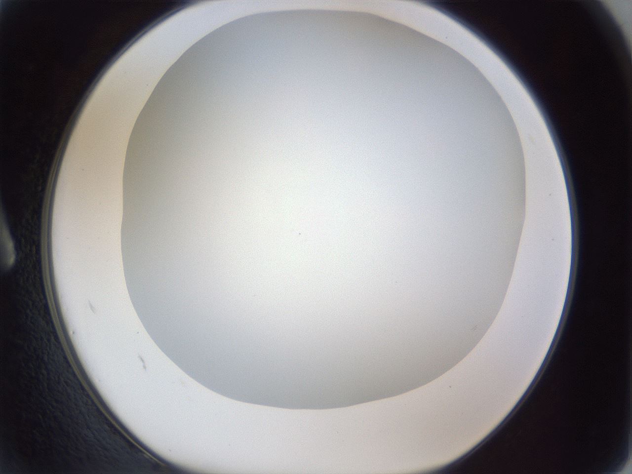 folderID215_plateID1215_batchID3547_wellNum2_profileID1_d1_r67138_ef.jpg