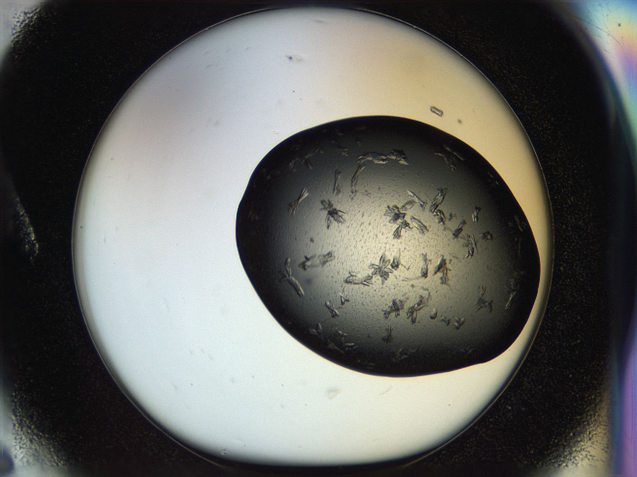 054l_A6_ImagerDefaults_6.jpg