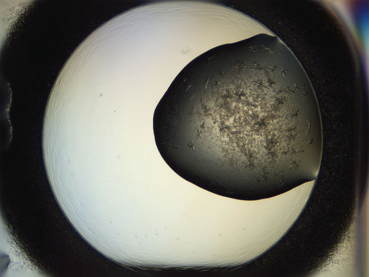 054l_B7_ImagerDefaults_6.jpg