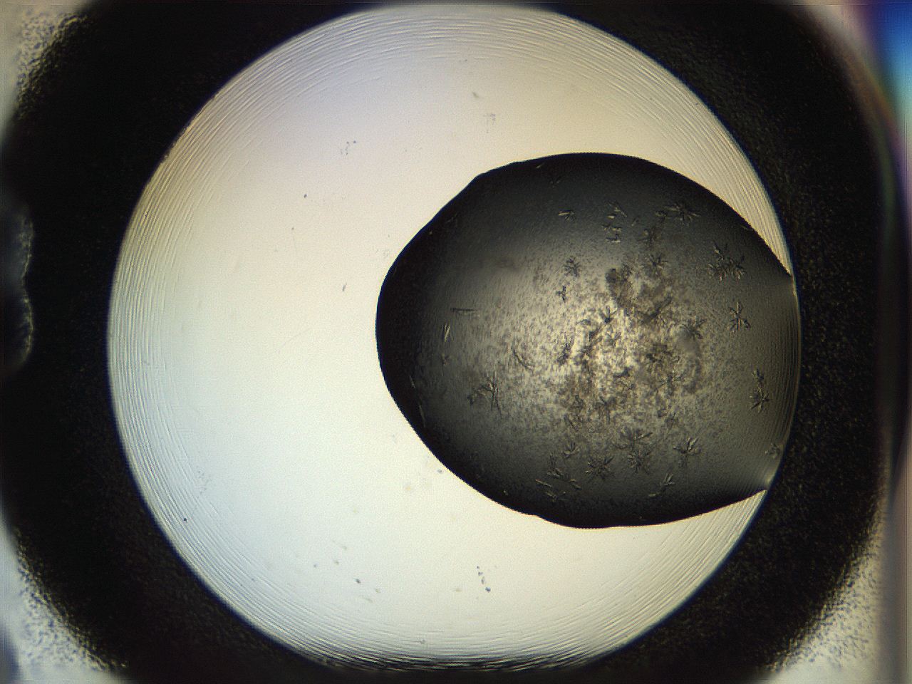 054l_B8_ImagerDefaults_6.jpg