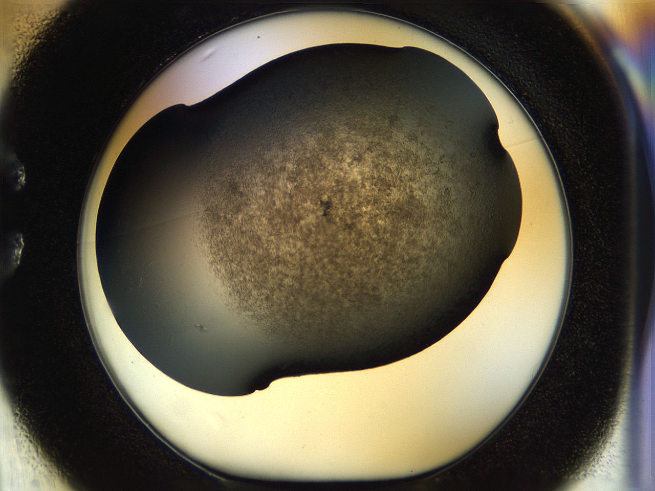 054l_C1_ImagerDefaults_7.jpg