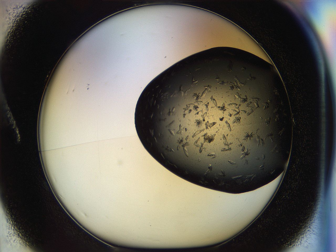054l_A1_ImagerDefaults_6.jpg