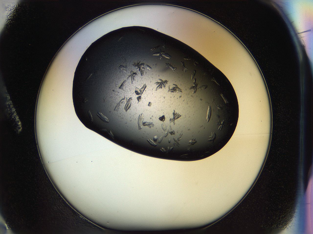 054l_A2_ImagerDefaults_6.jpg