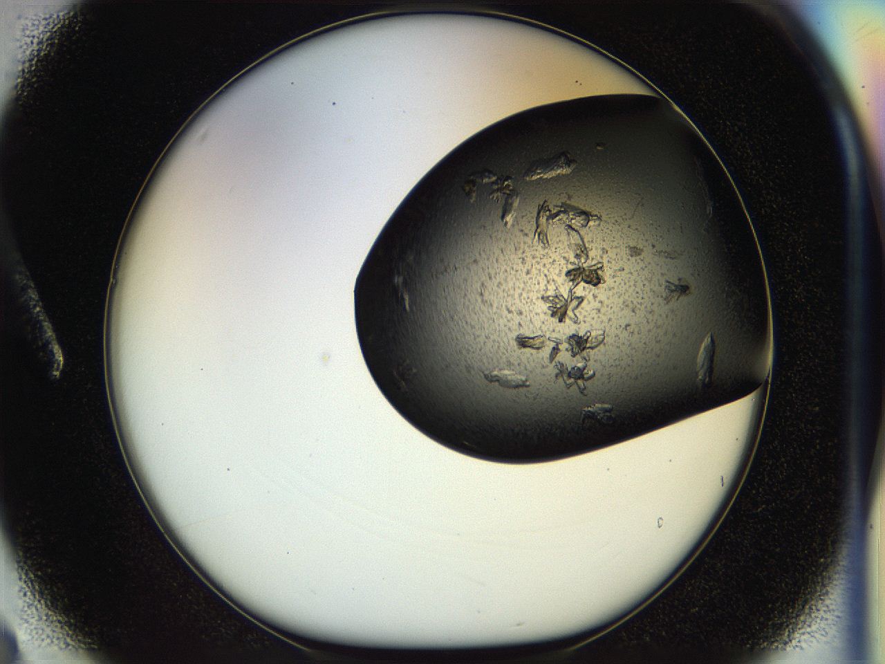 054l_A3_ImagerDefaults_7.jpg