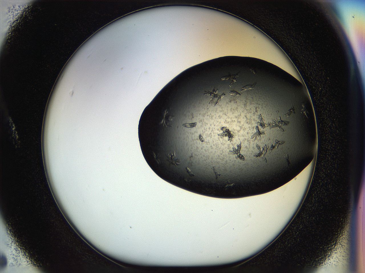 054l_A5_ImagerDefaults_6.jpg
