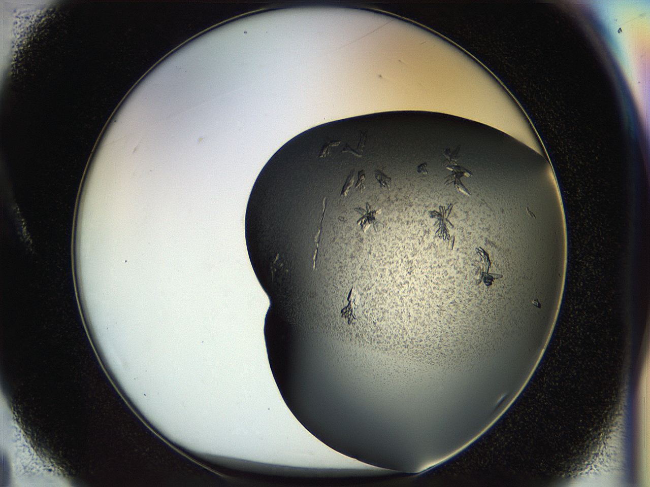 054l_A4_ImagerDefaults_7.jpg