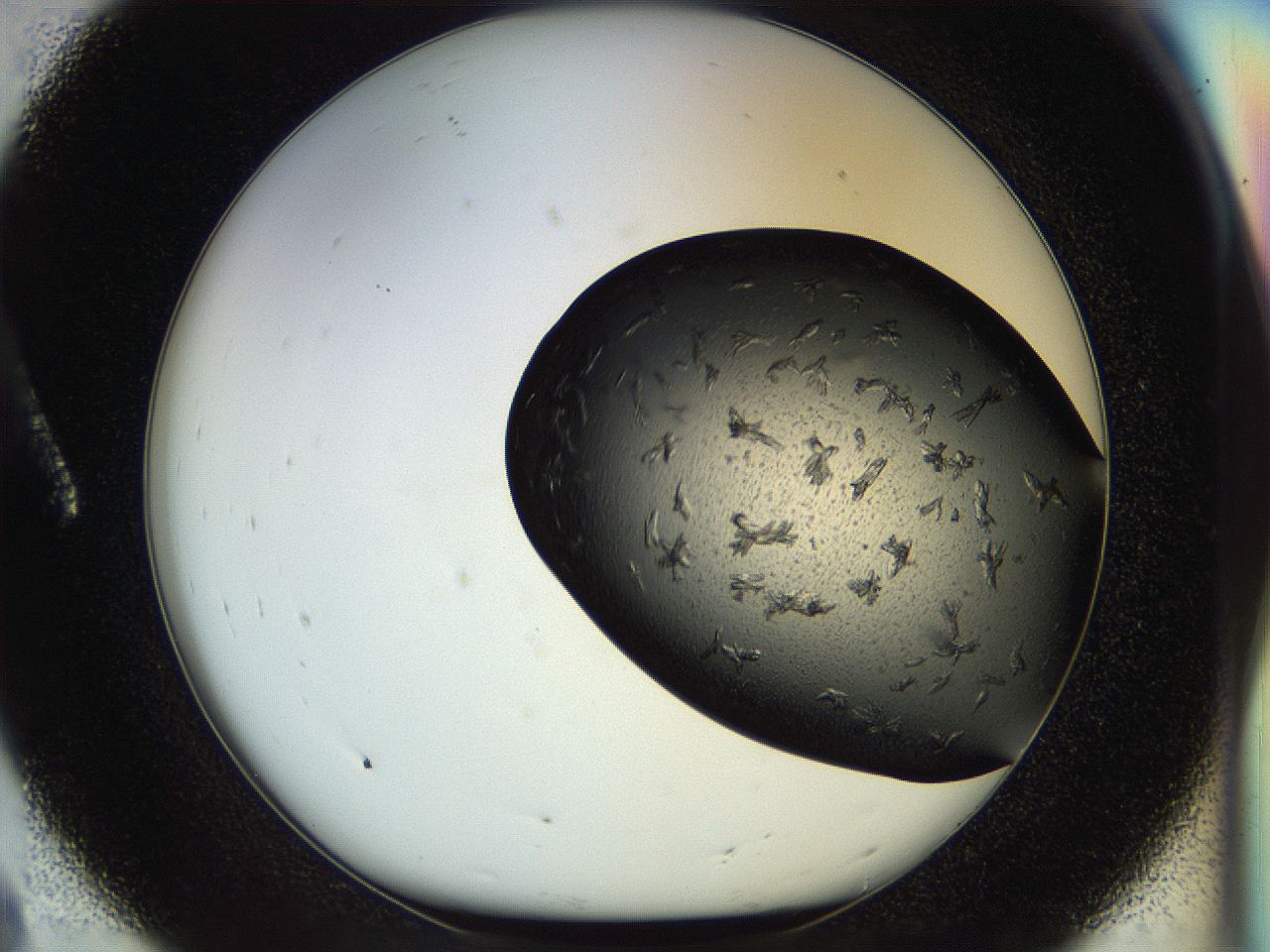 054l_A8_ImagerDefaults_6.jpg