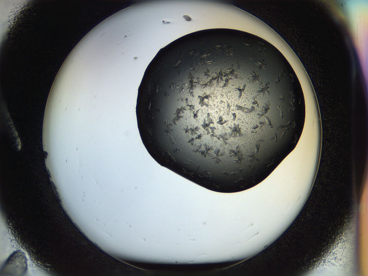 054l_A11_ImagerDefaults_6.jpg