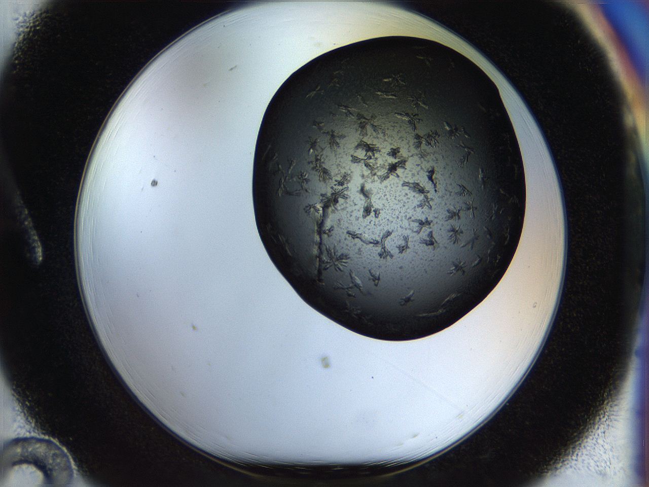 054l_A12_ImagerDefaults_6.jpg